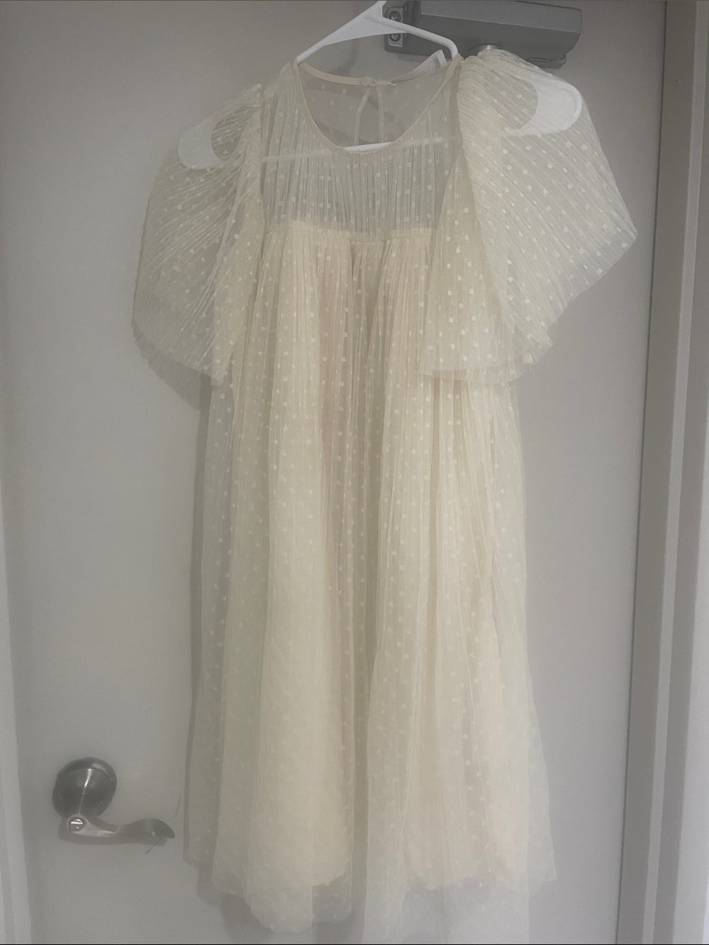 Zara Cream Puff Sleeve Dot Tulle Dress
